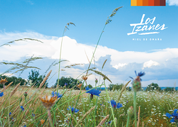 Galería de imágenes