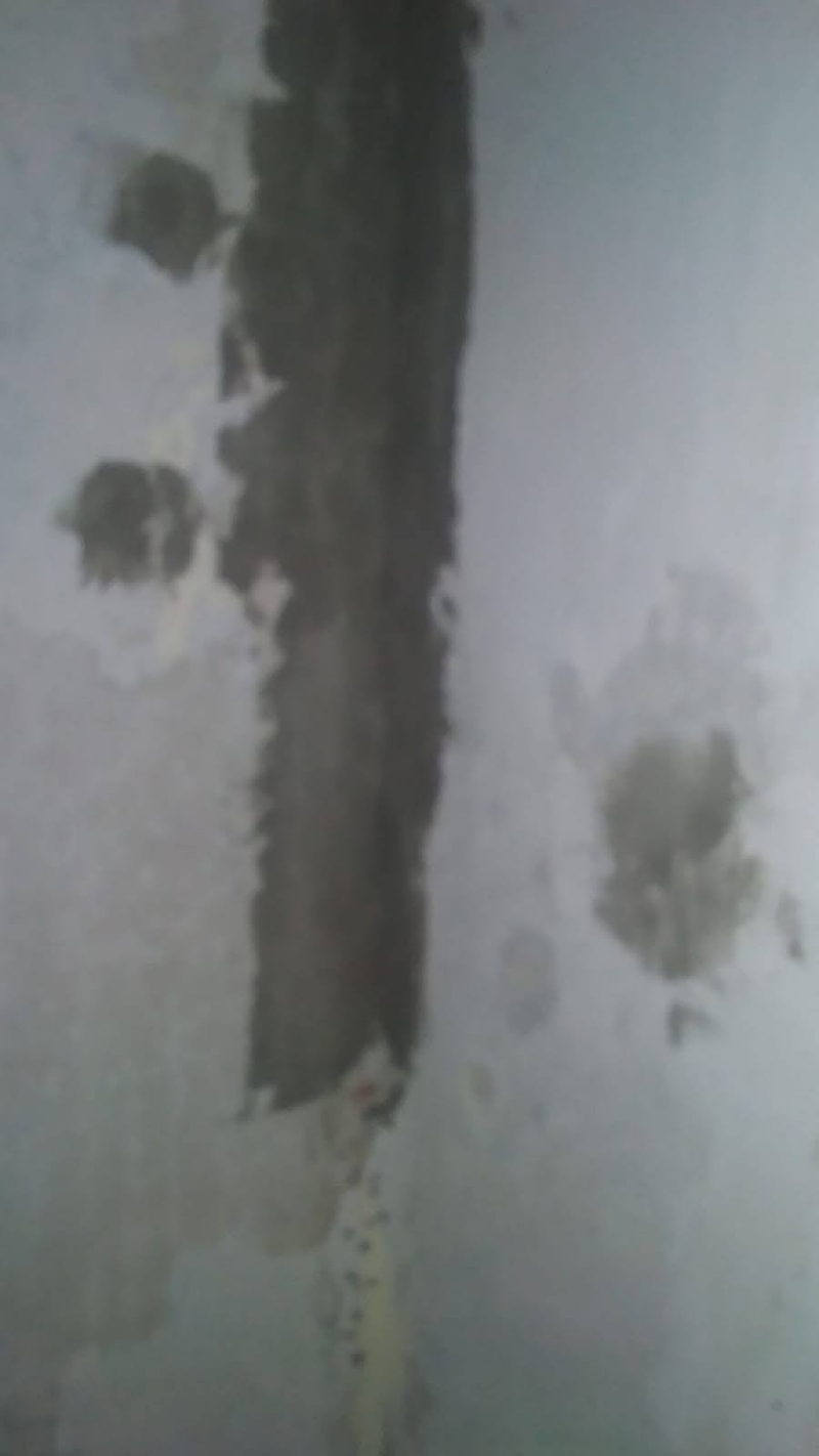 Manitas-Reformas Correcaminos 10