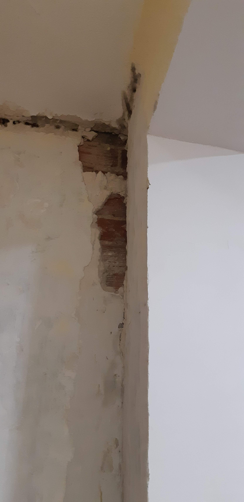 Manitas-Reformas Correcaminos 21