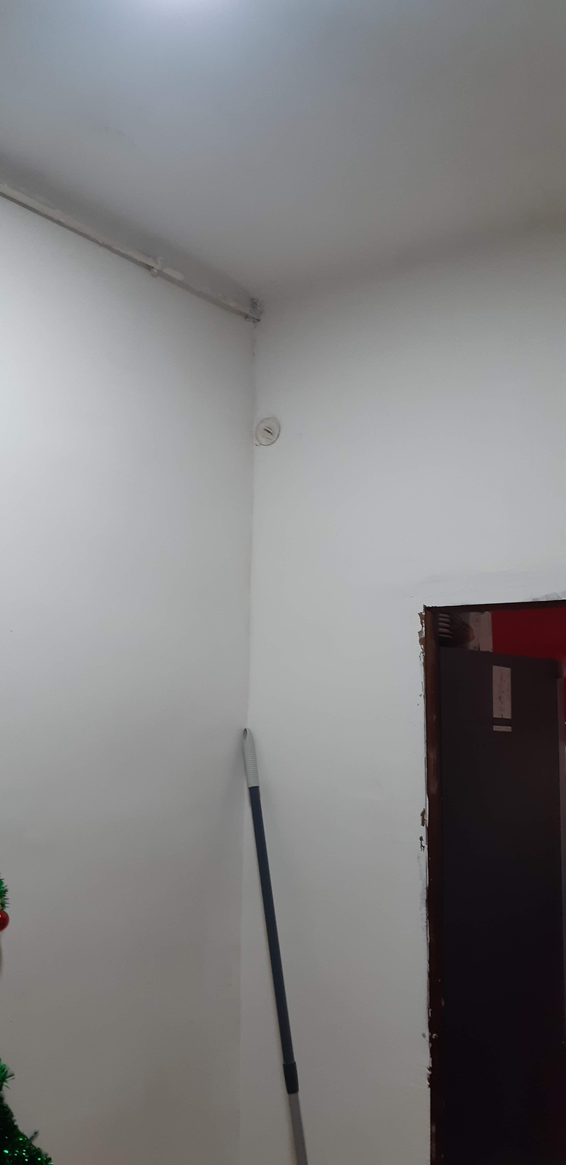 Manitas-Reformas Correcaminos 9