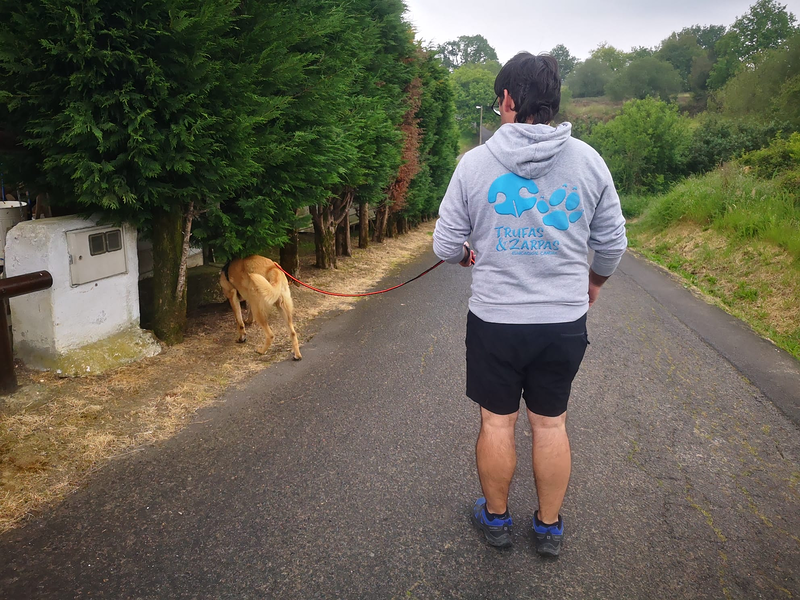 Trufas y Zarpas PERROS: ADIESTRAMIENTO