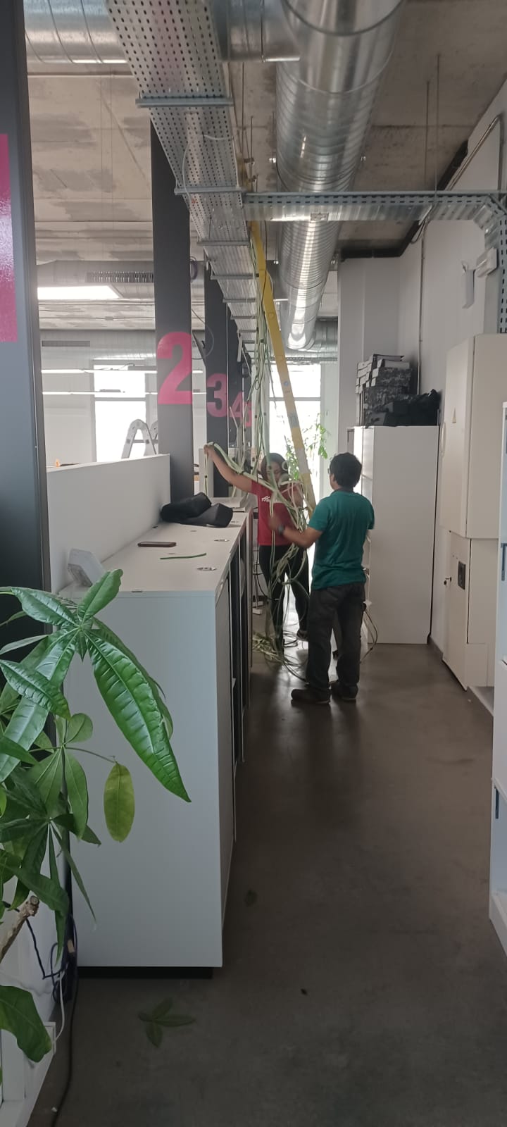 Braitel Comunicaciones 22