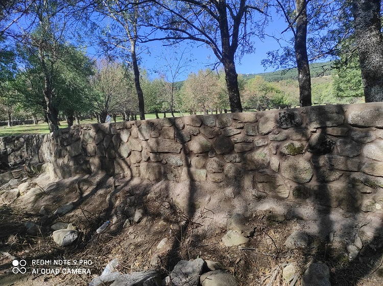 Construcciones & Jardineros Said 4