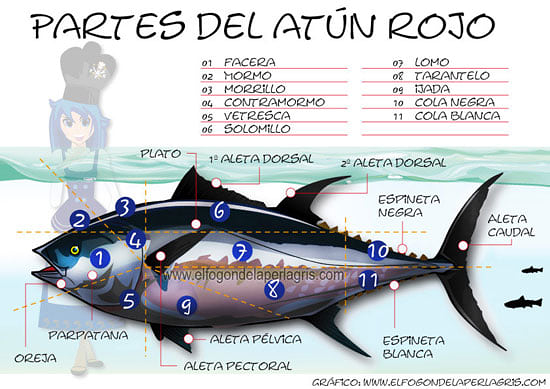 El Armacenito Andaluz 5