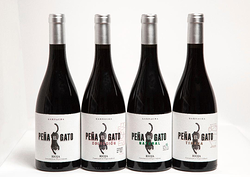 Galería de imágenes