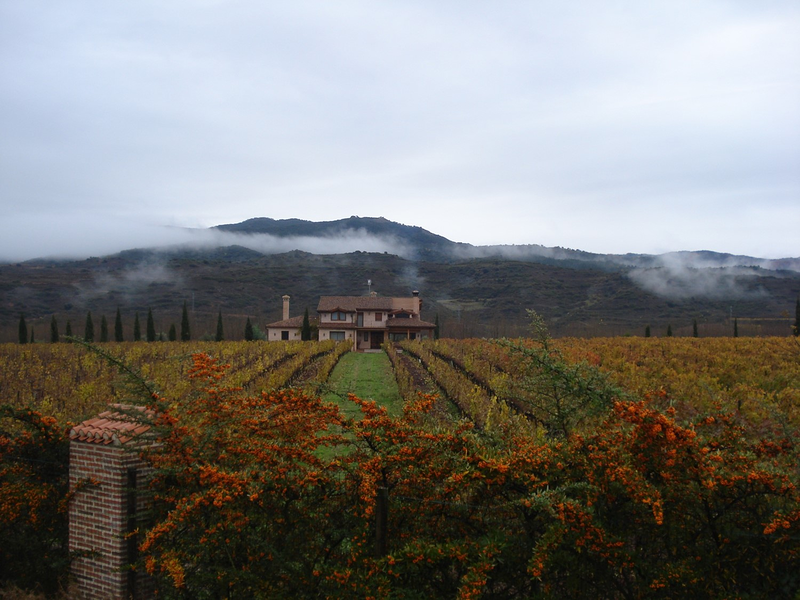 Bodegas Juan Carlos Sancha 5