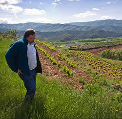 Galería de imágenes