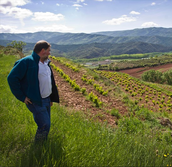 Bodegas Juan Carlos Sancha Baños de Río Tobía