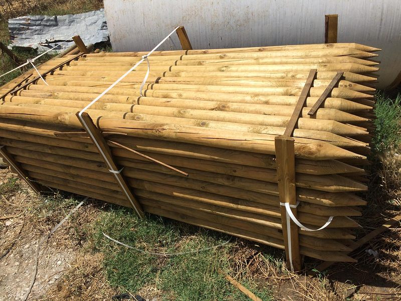 Agricentro Miguel A. Palomo 5