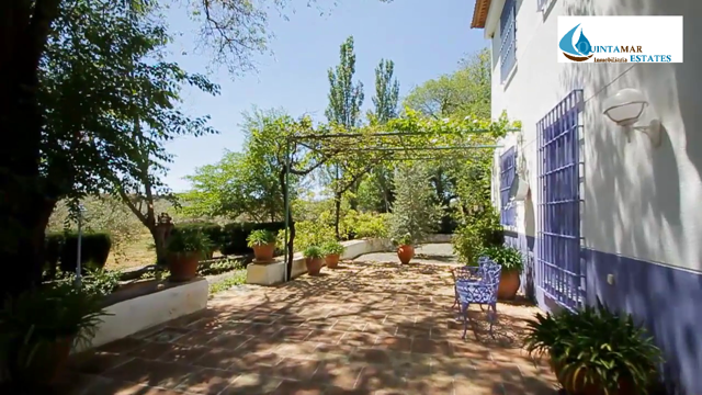 Quintamar Inmobiliaria 26