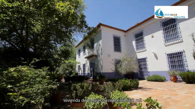 Quintamar Inmobiliaria 11