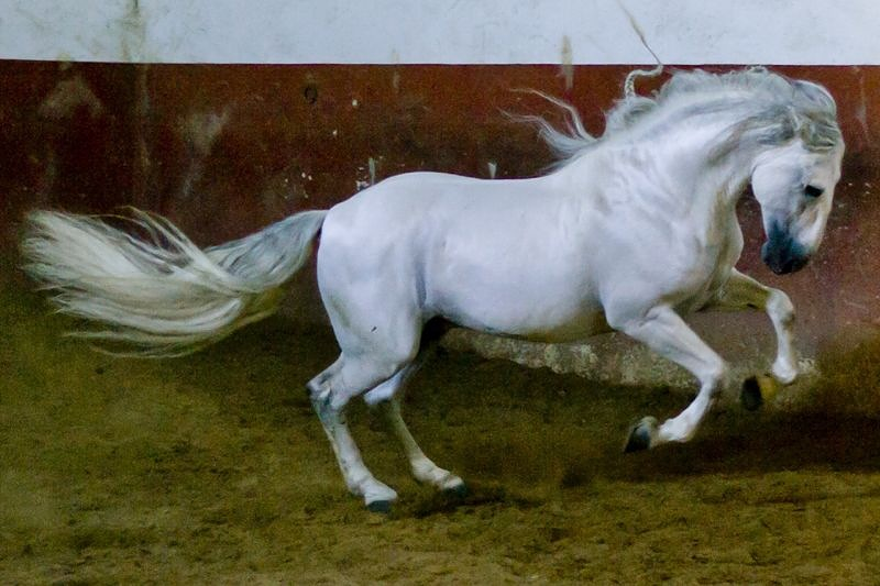 Quintamar Inmobiliaria 15