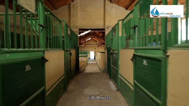 Quintamar Inmobiliaria 27