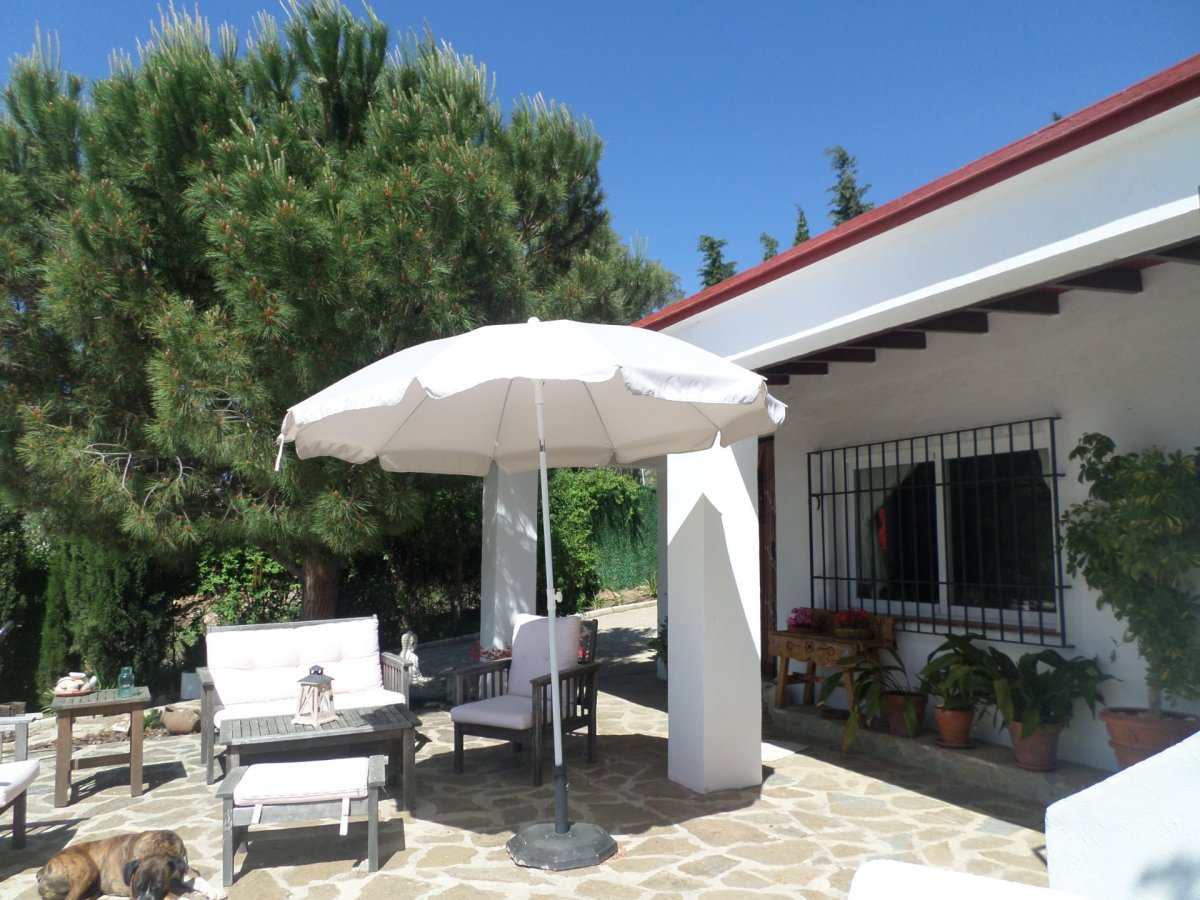 Quintamar Inmobiliaria 13