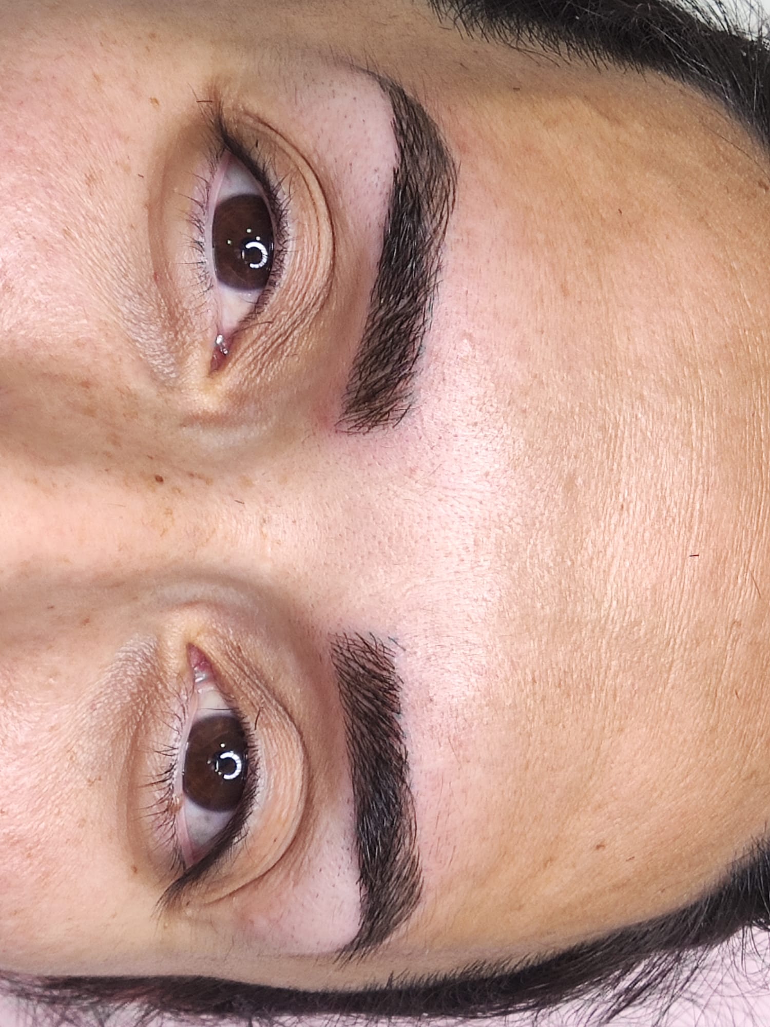 Dc Brows & Lashes 23