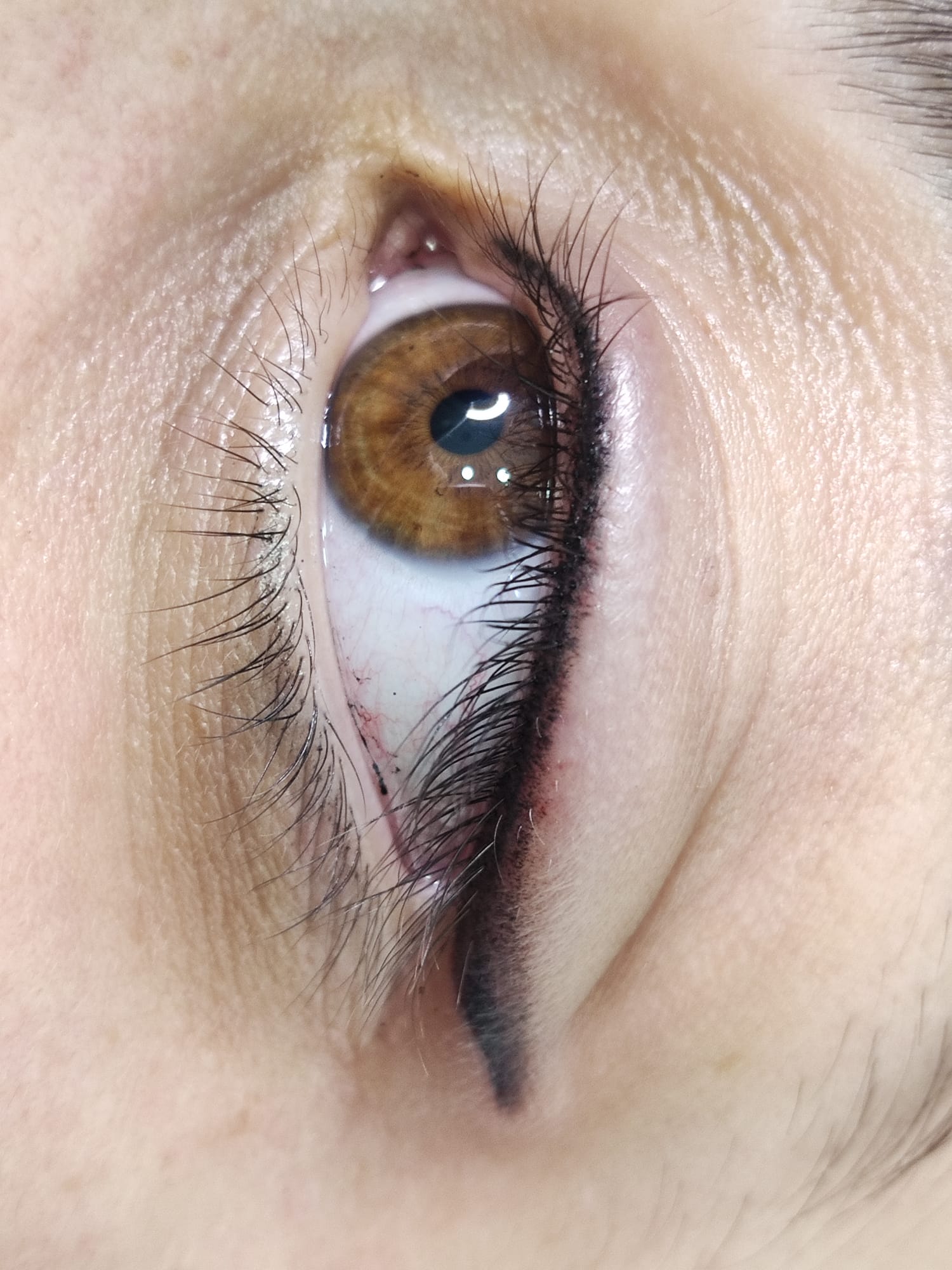 Dc Brows & Lashes 53