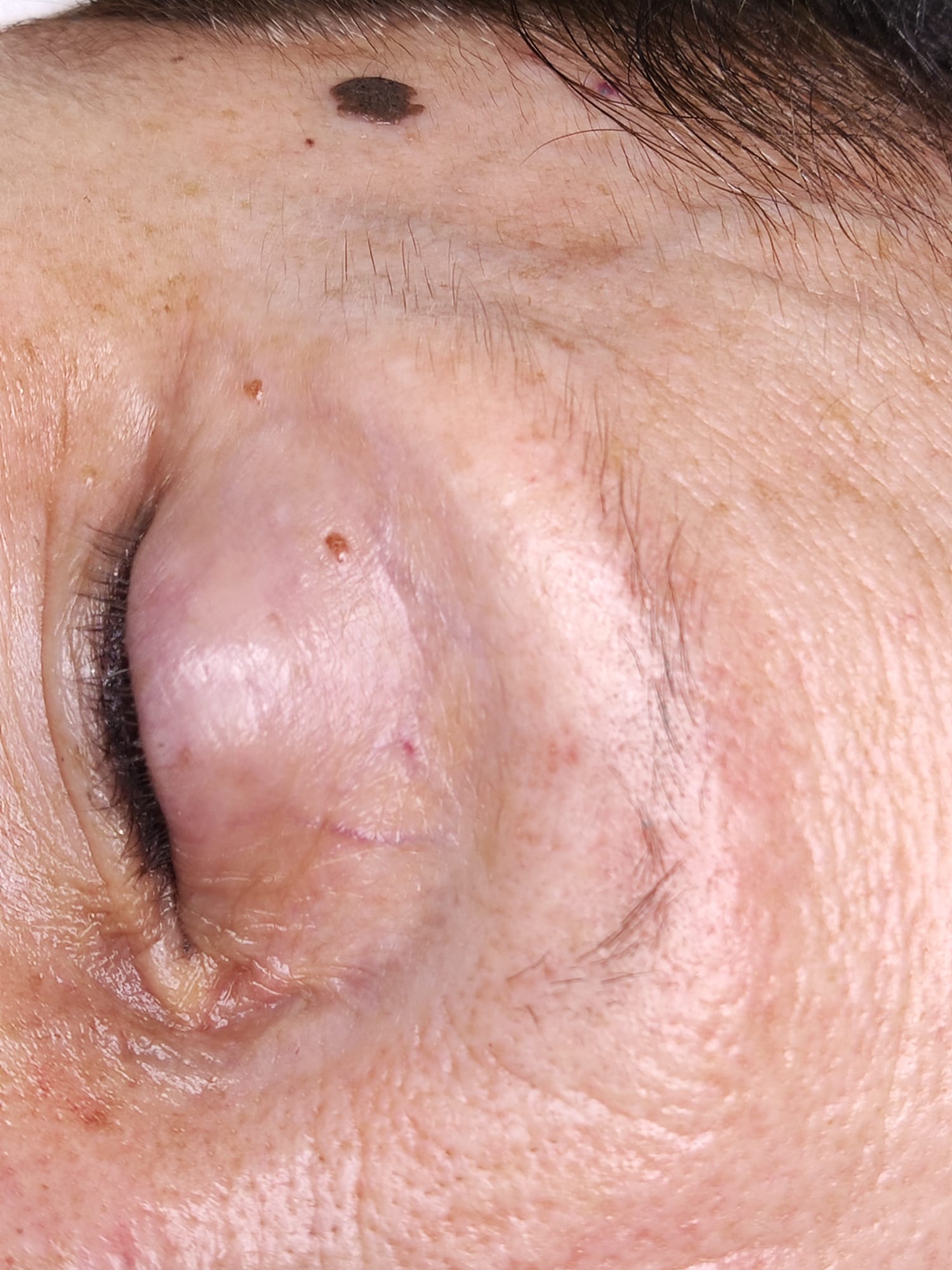 Dc Brows & Lashes 27