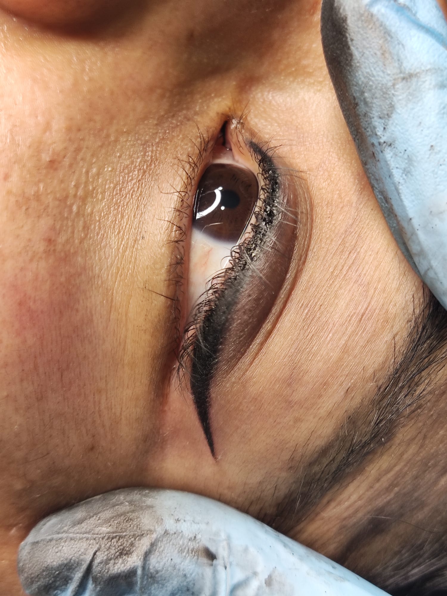 Dc Brows & Lashes 39