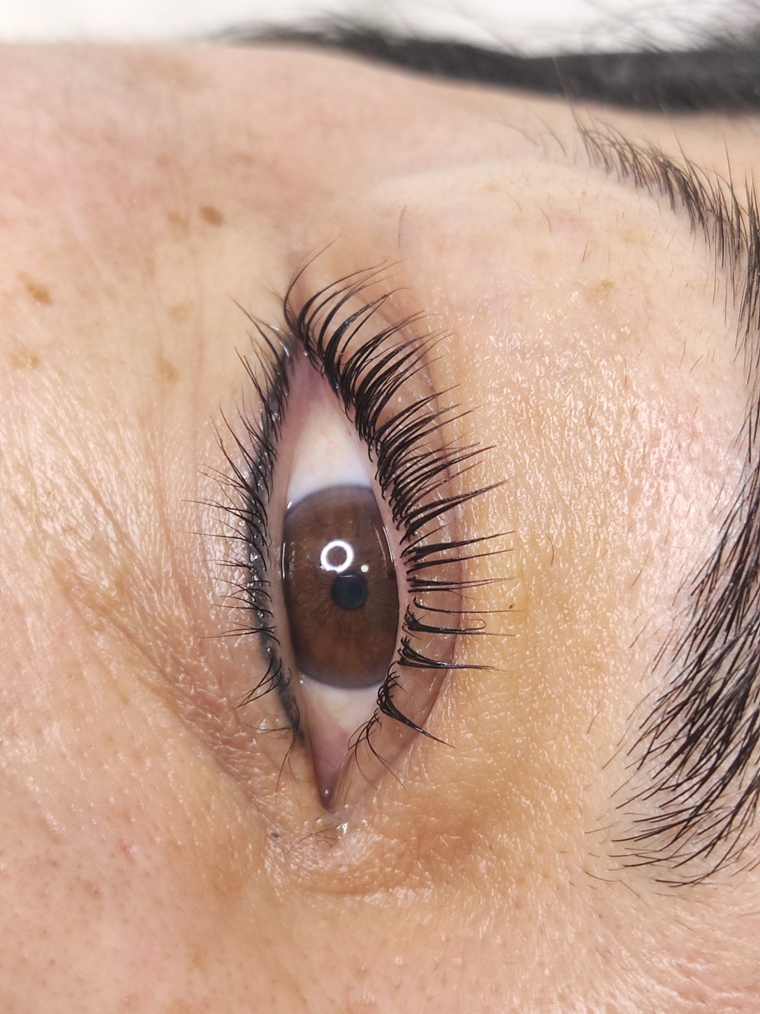 Dc Brows & Lashes 52