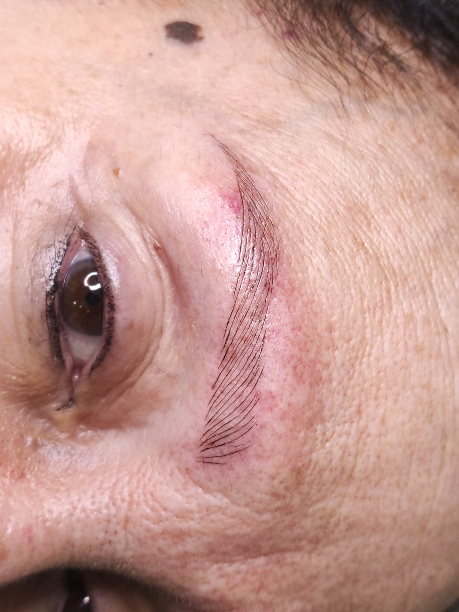 Dc Brows & Lashes 24