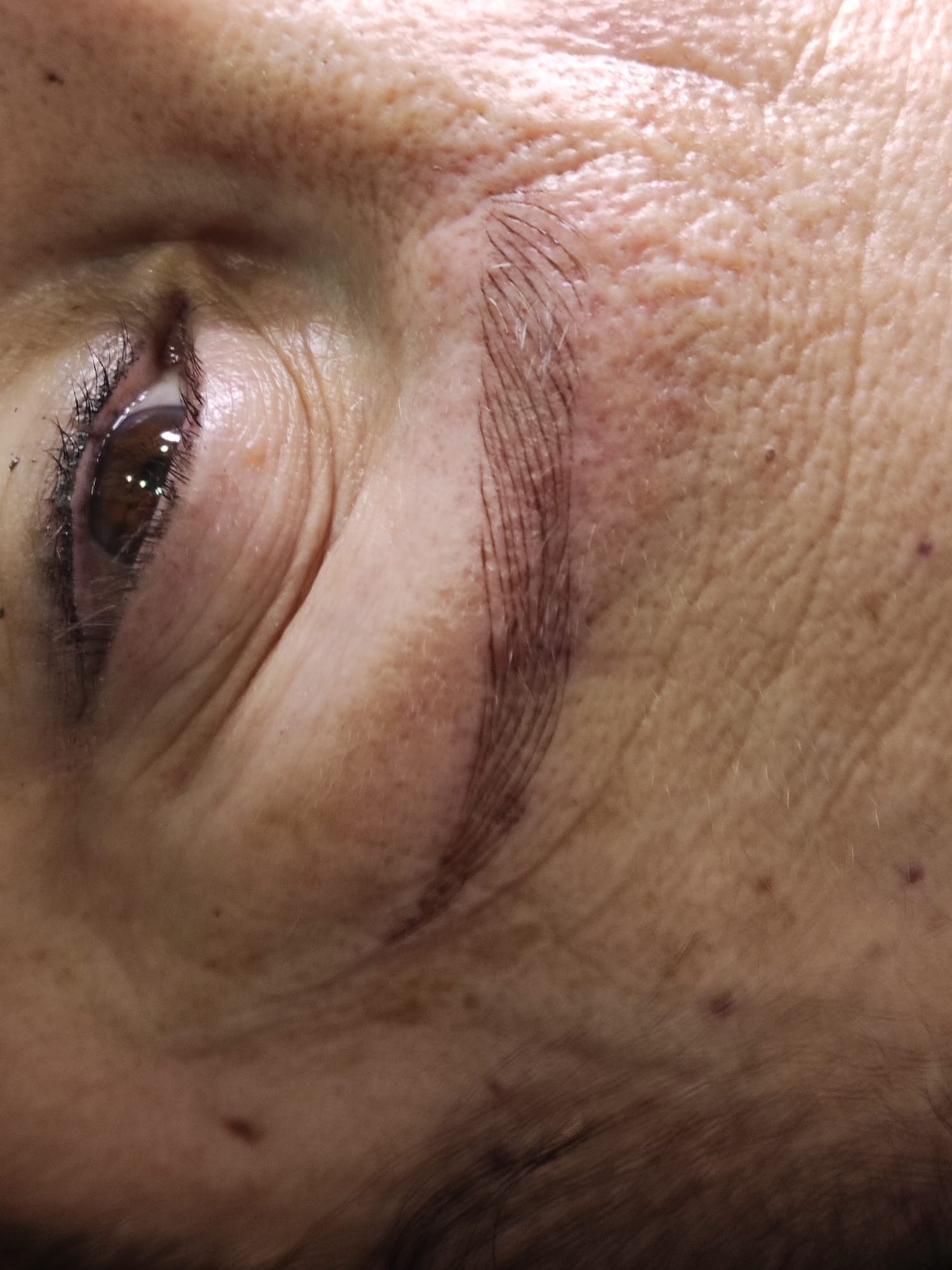 Dc Brows & Lashes Sevilla