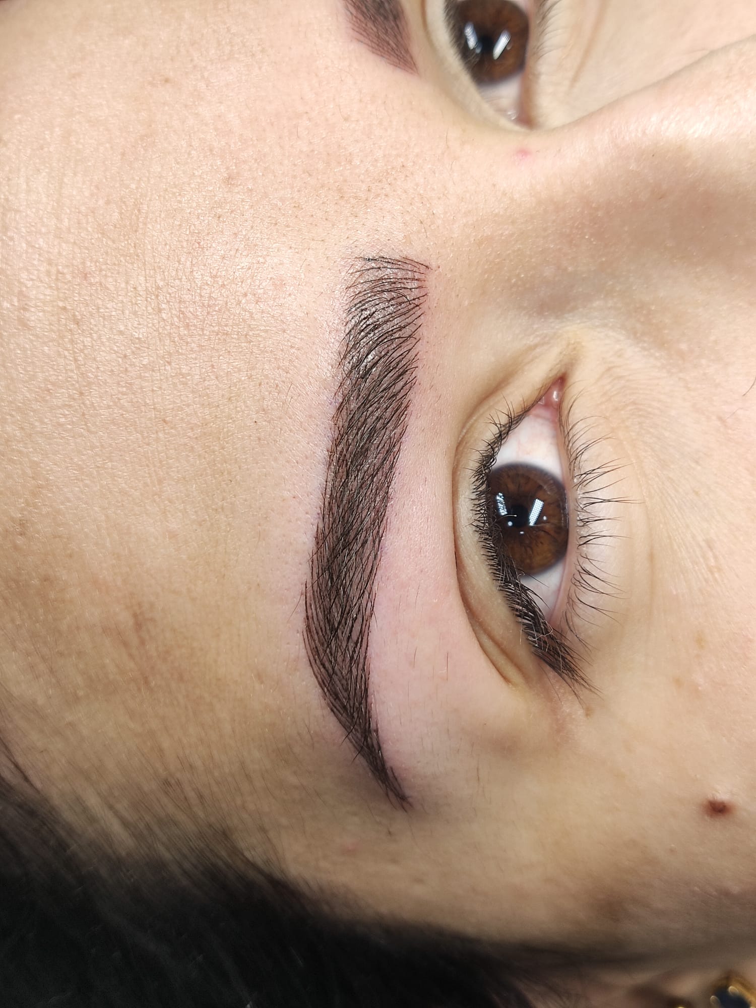 Dc Brows & Lashes 35