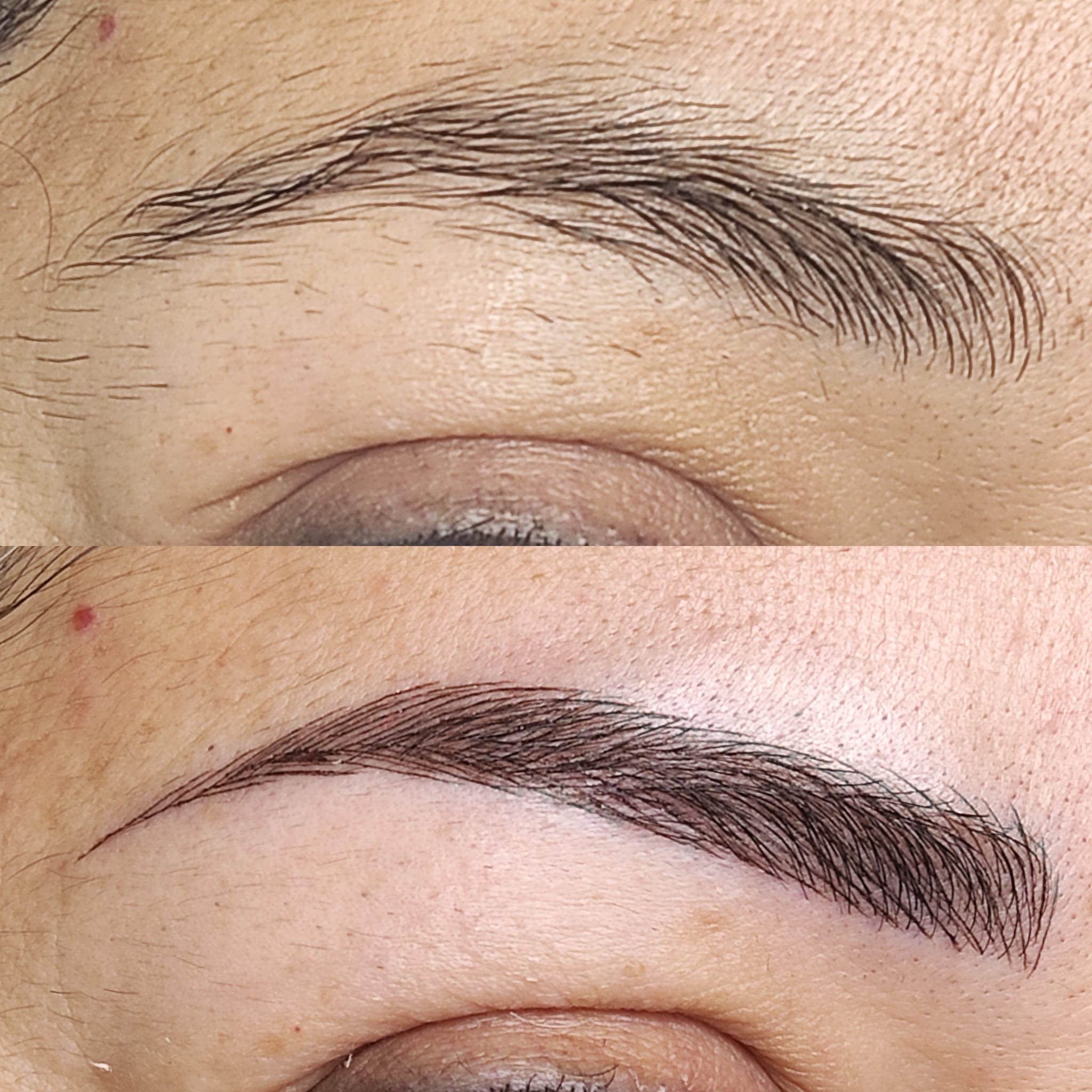 Dc Brows & Lashes 44