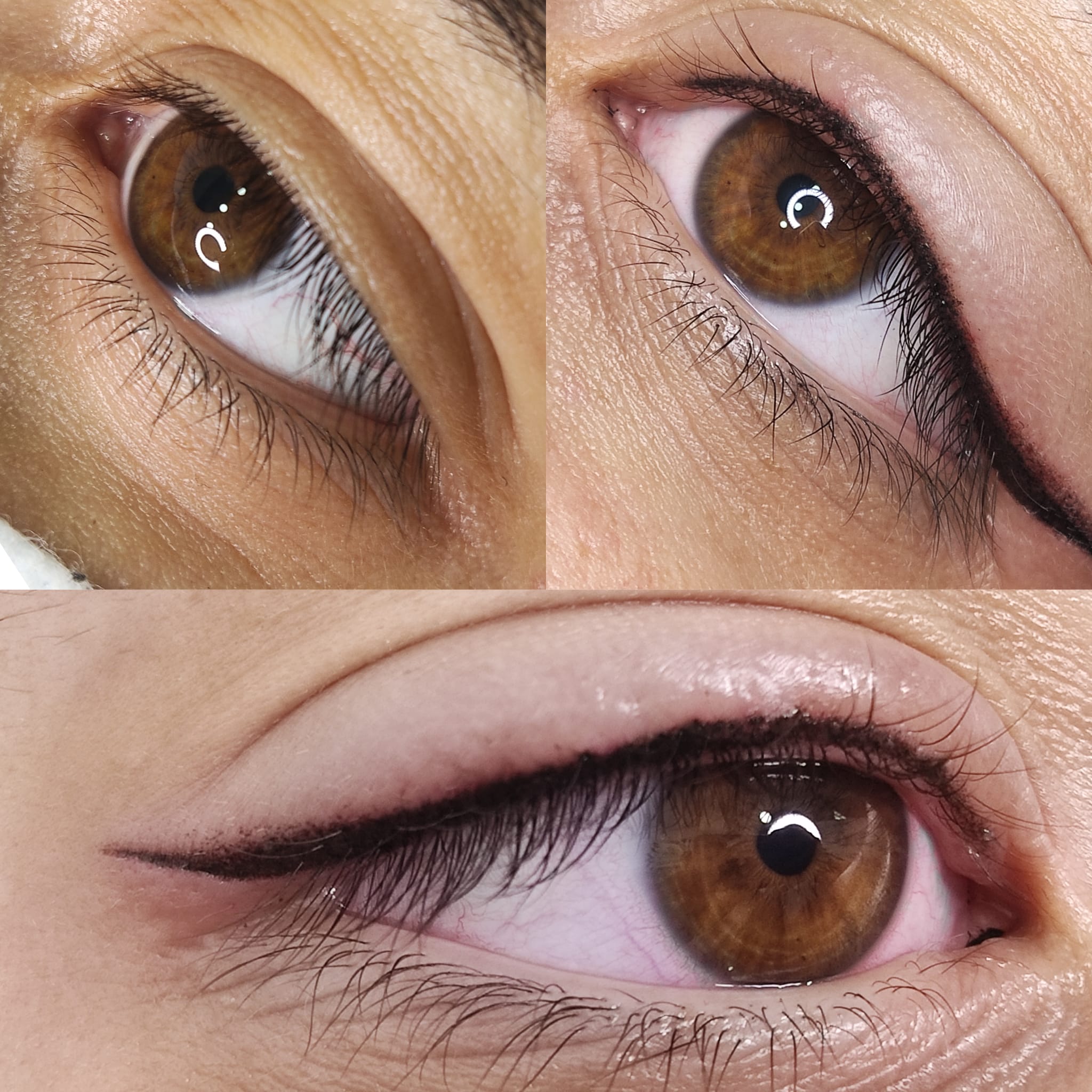 Dc Brows & Lashes 58