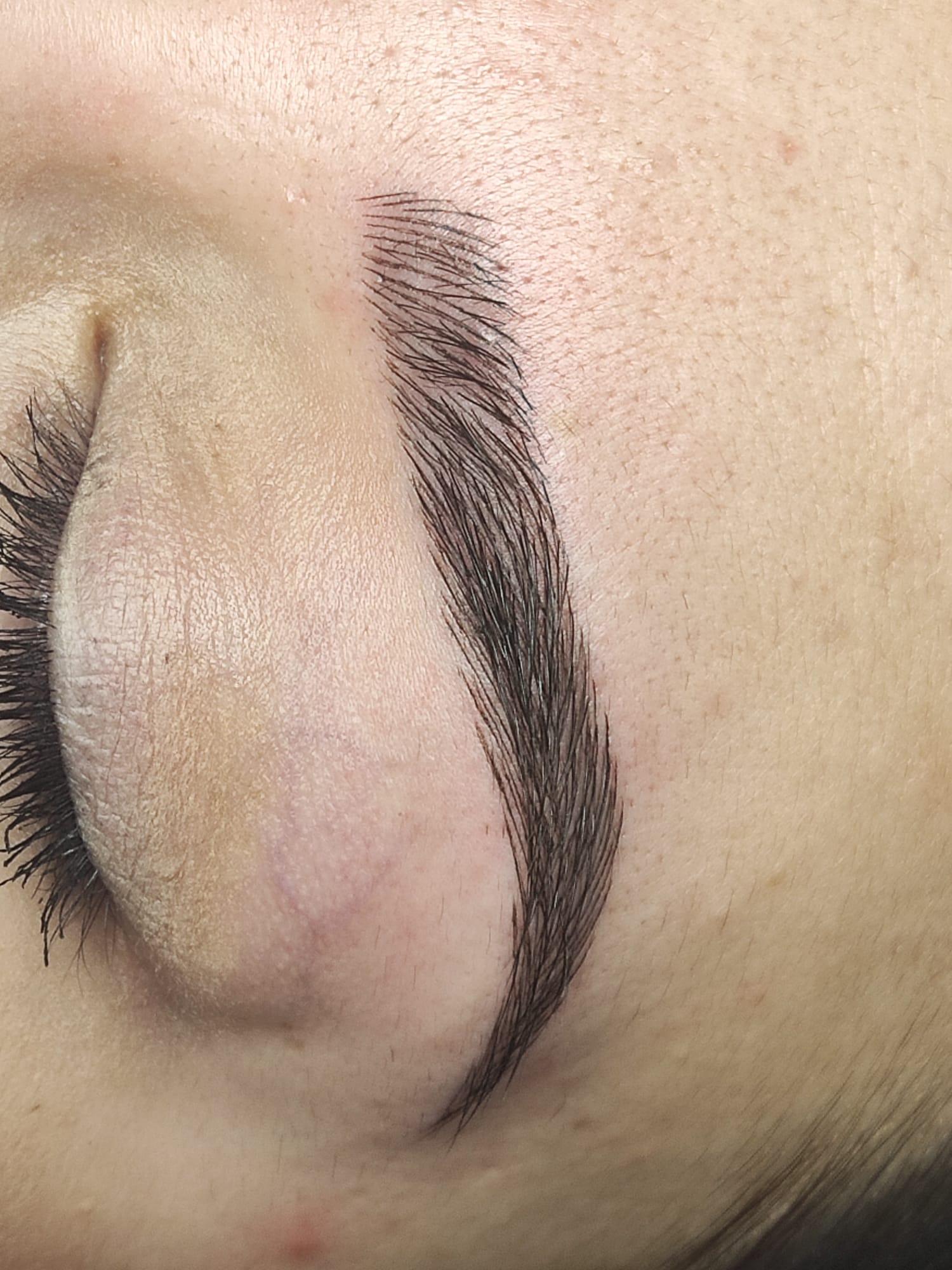 Dc Brows & Lashes 34