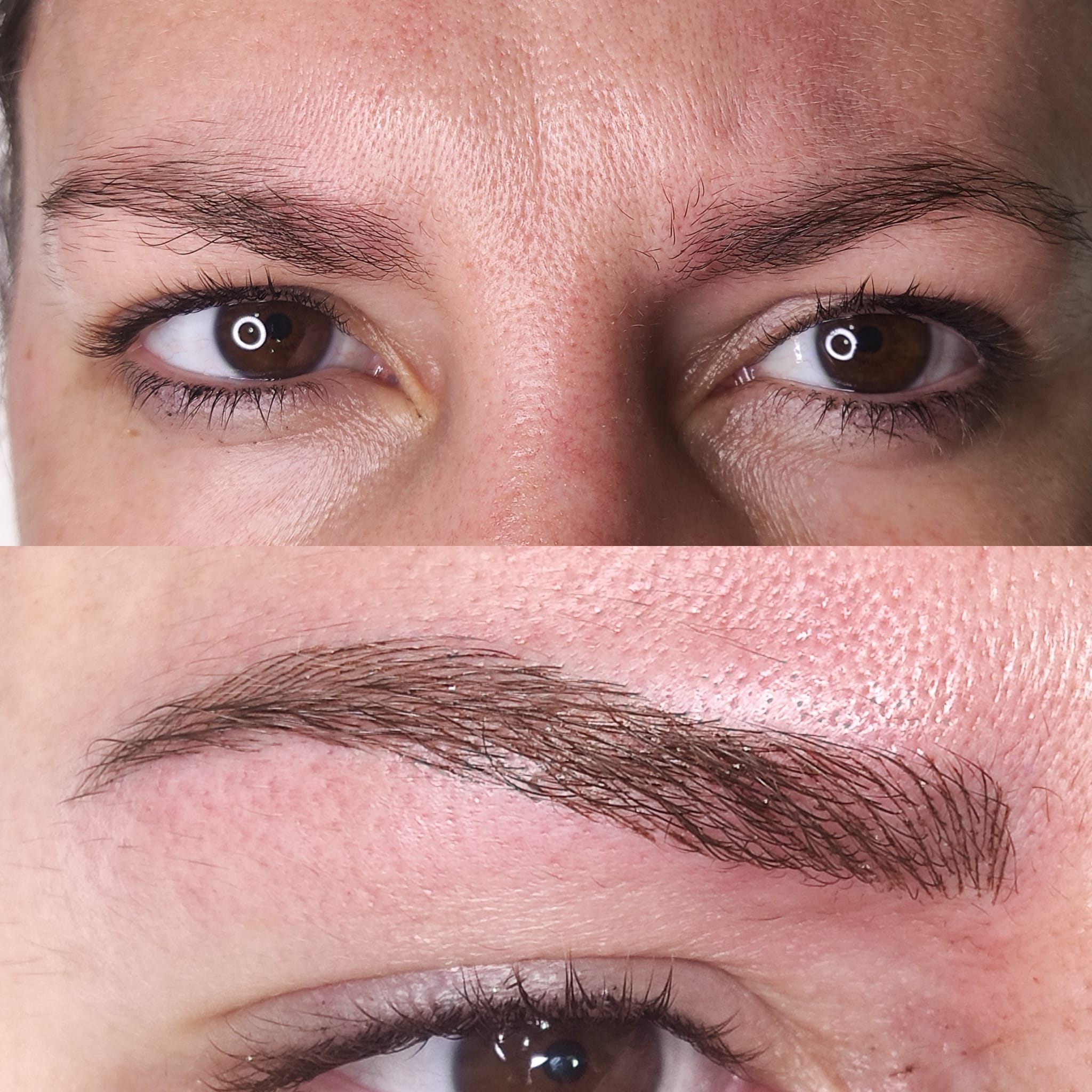 Dc Brows & Lashes 26