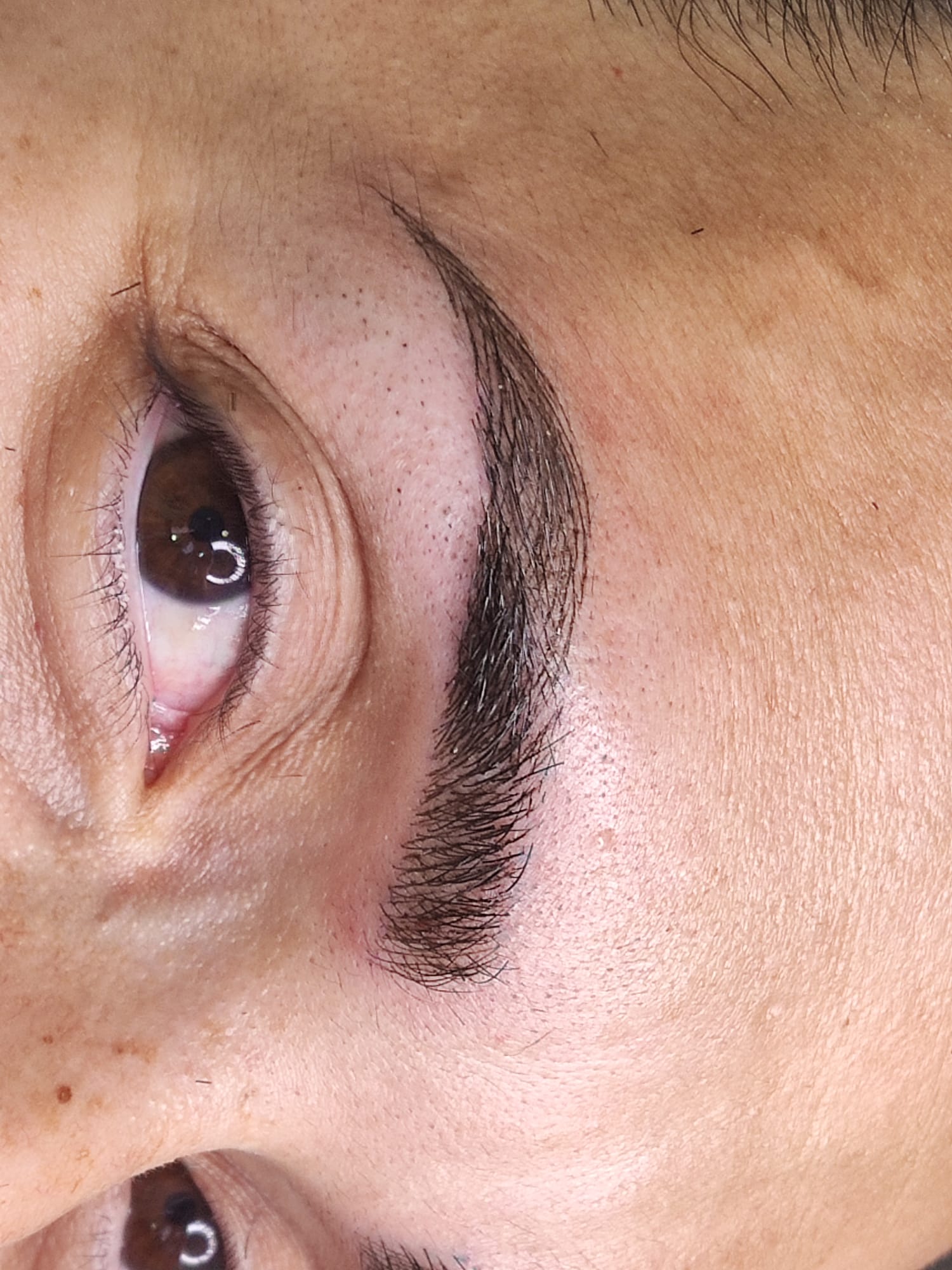 Dc Brows & Lashes 19