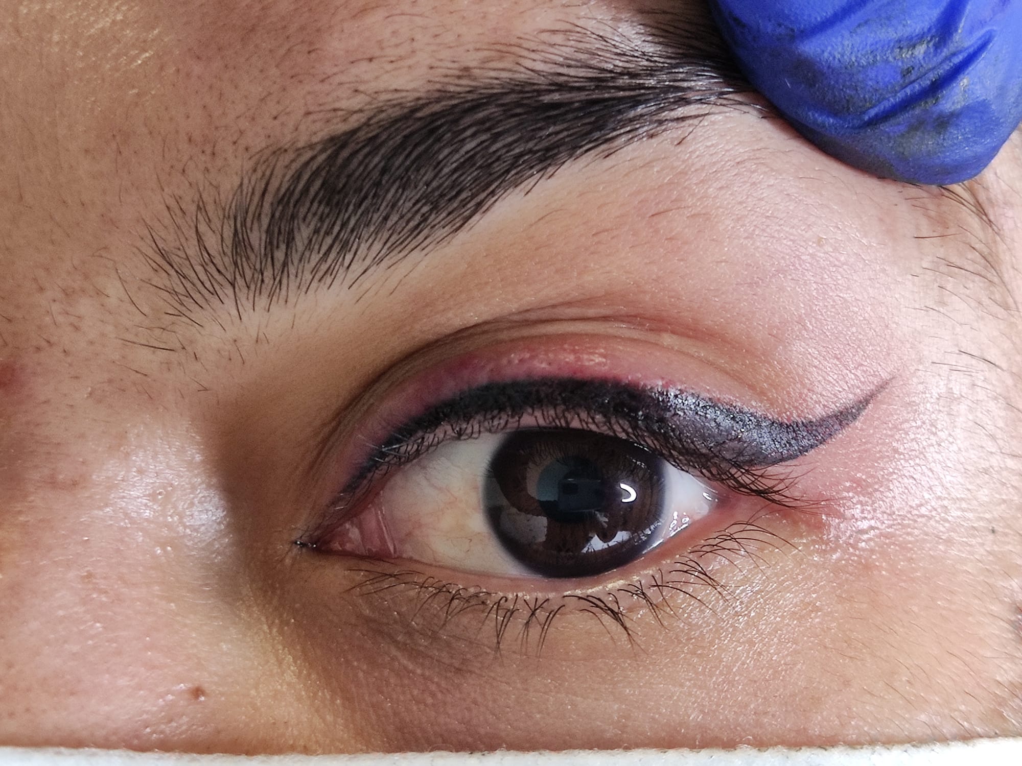 Dc Brows & Lashes 54