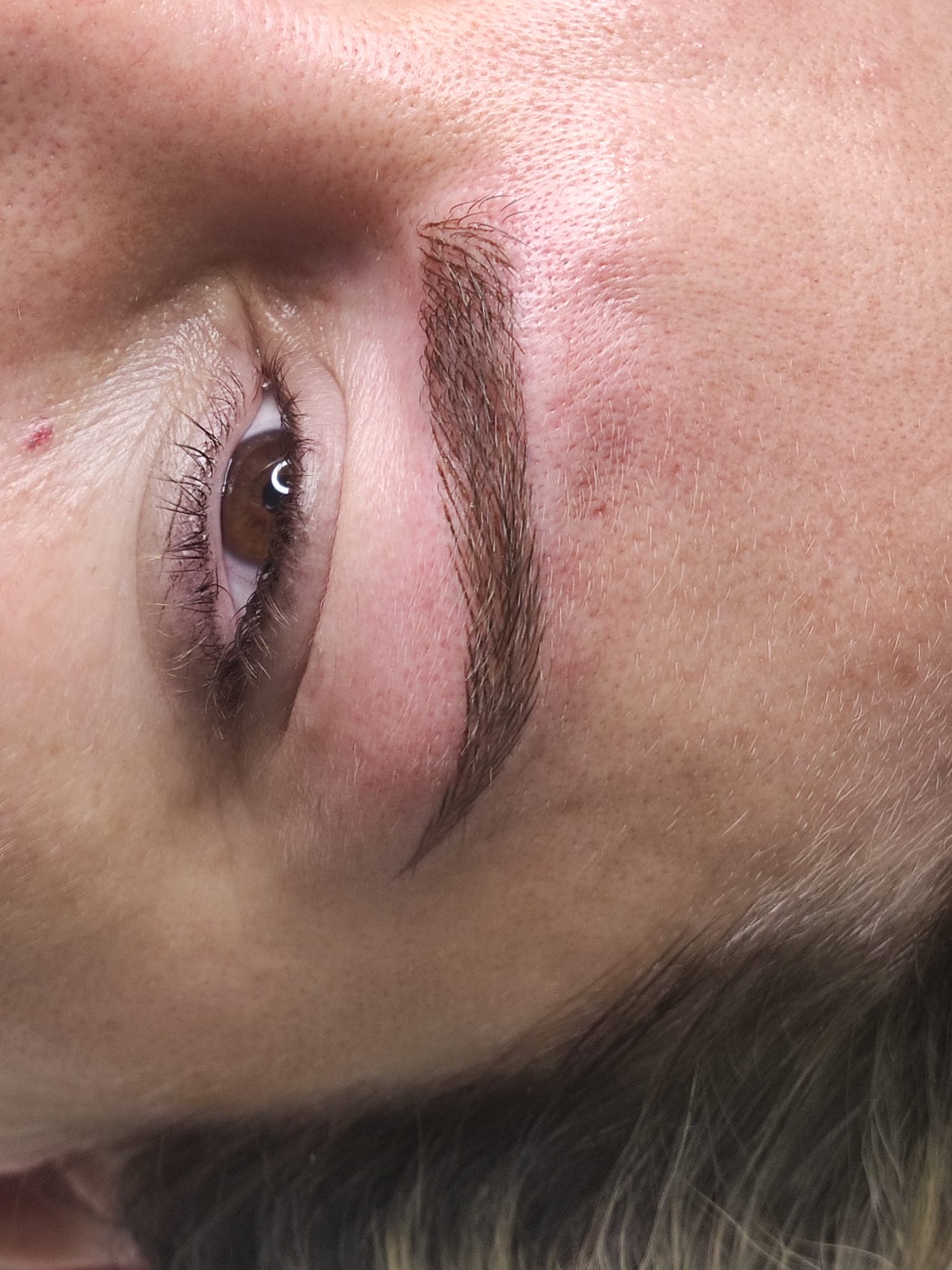 Dc Brows & Lashes 25