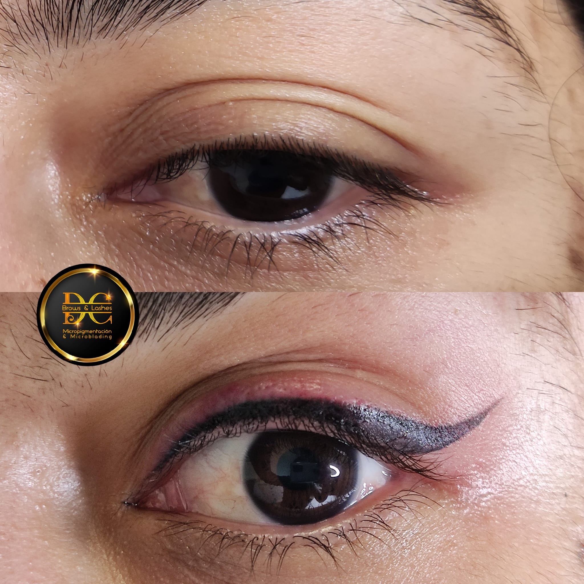 Dc Brows & Lashes 55