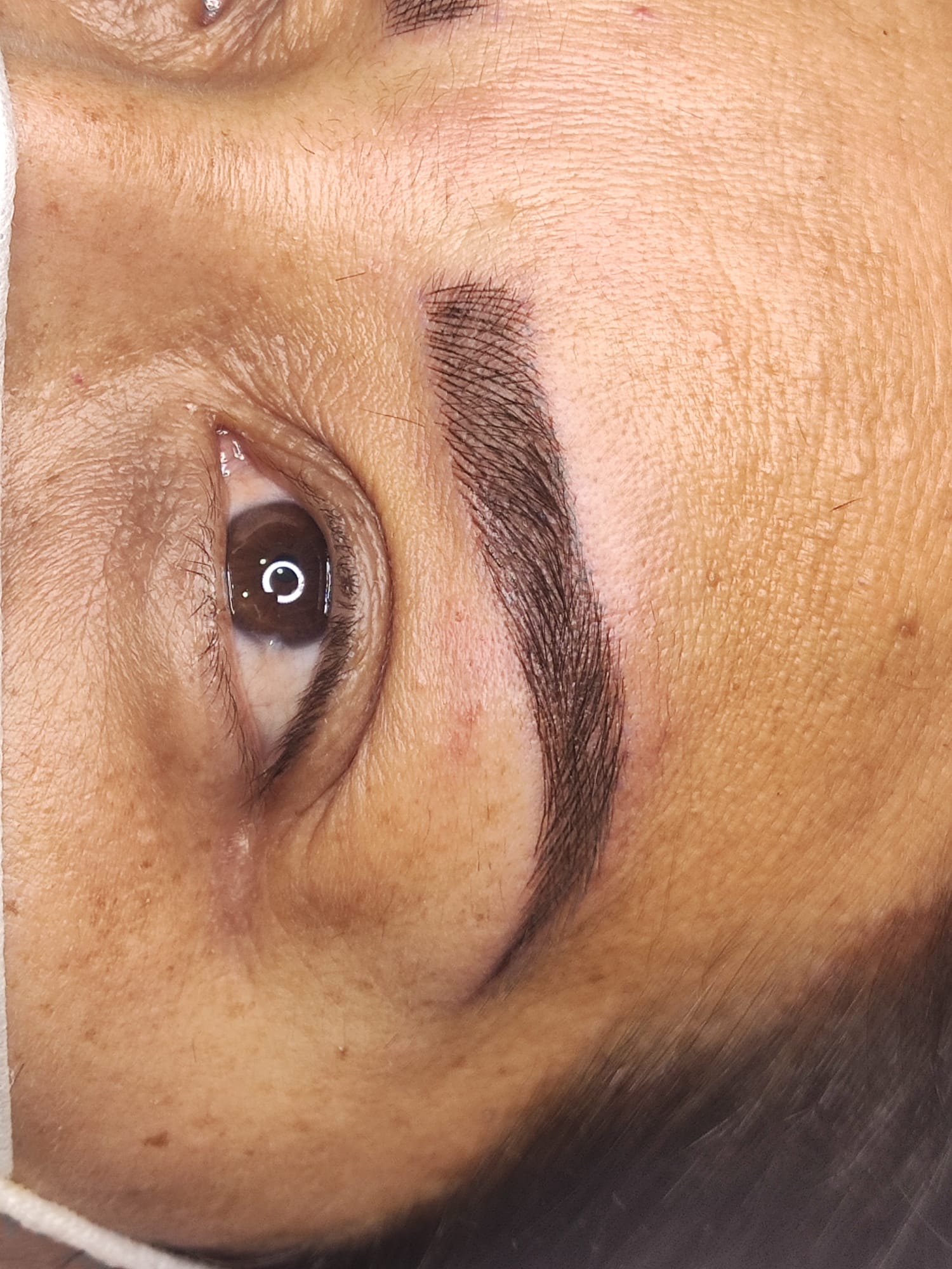 Dc Brows & Lashes 28