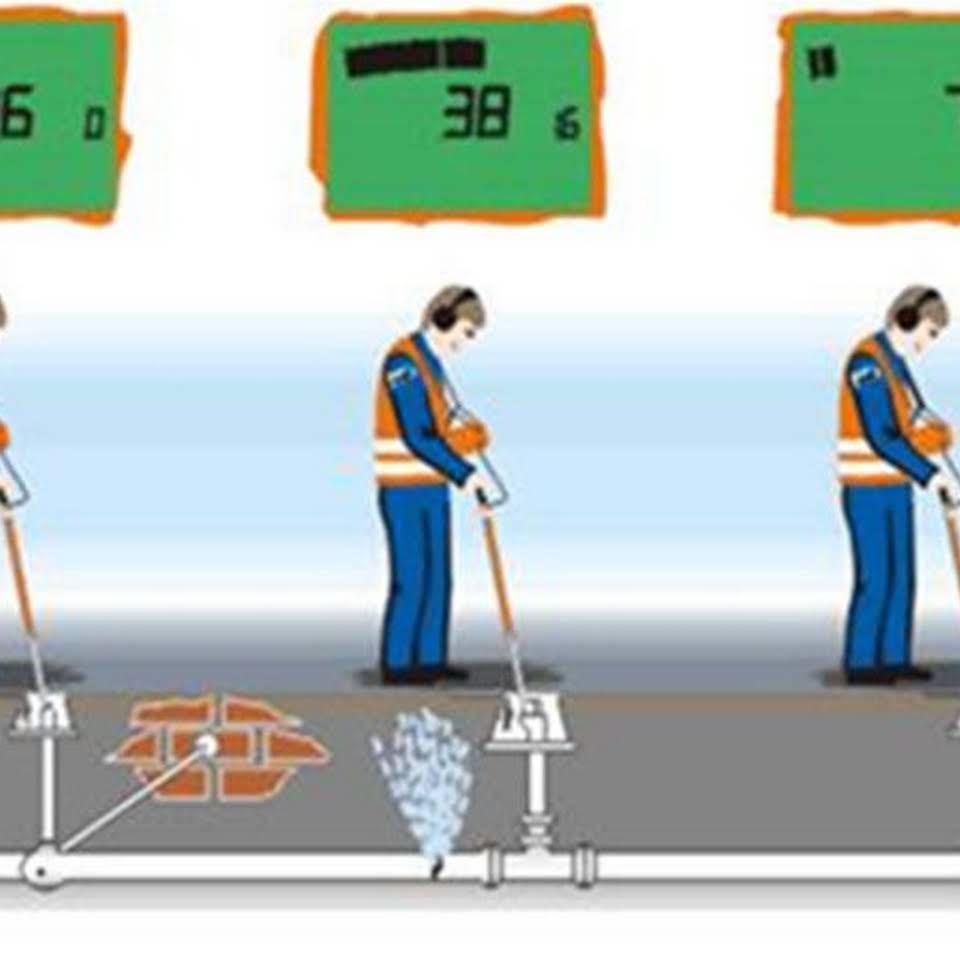 Galería de imágenes