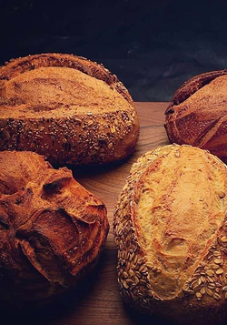 Galería de imágenes