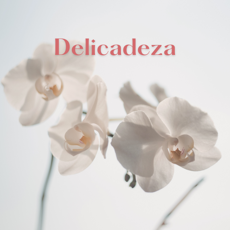 Lupequiromasajista 6