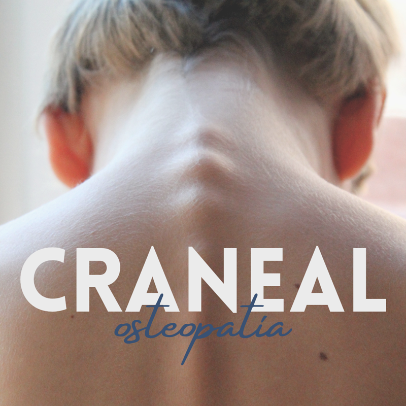 Lupequiromasajista 17