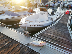 Galería de imágenes