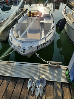 Galería de imágenes