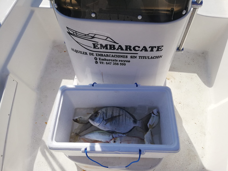 Alquiler de barcos sin titulaci&oacute;n, EMBARCATE 5