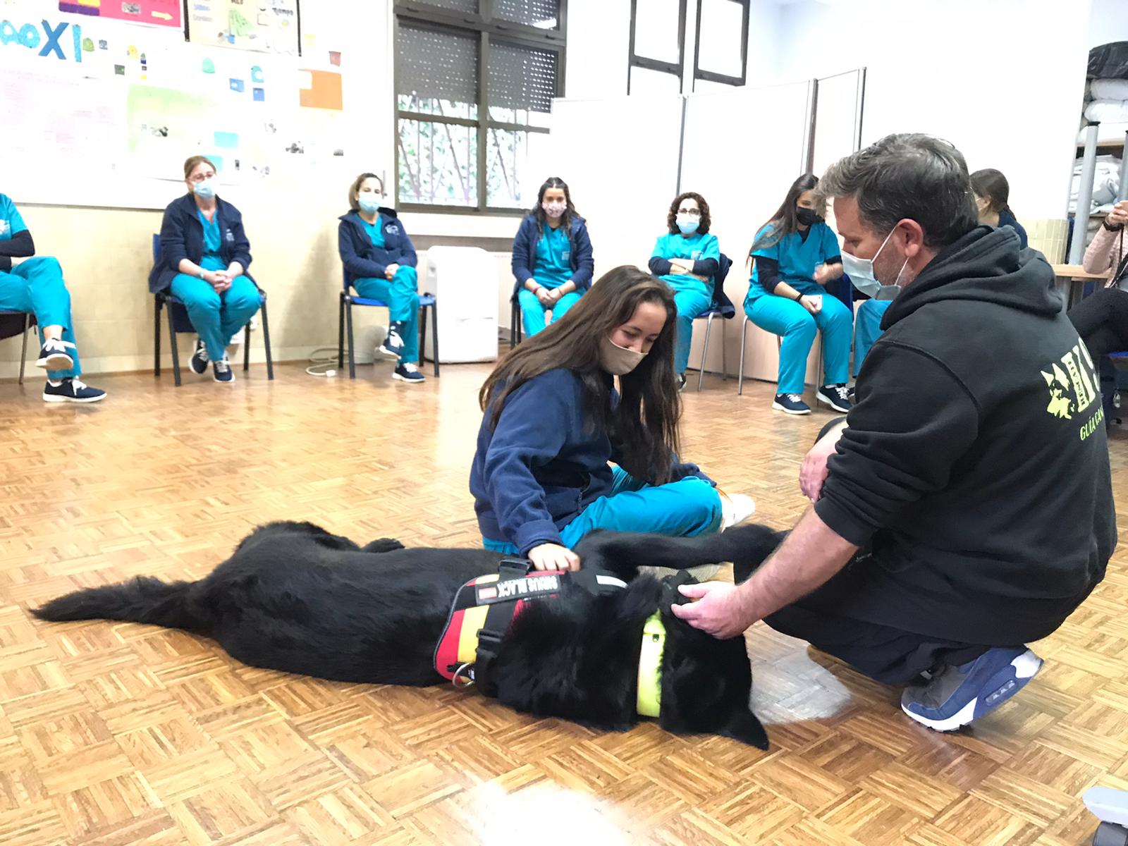 StartShip Formaci&oacute;n S.C. 17