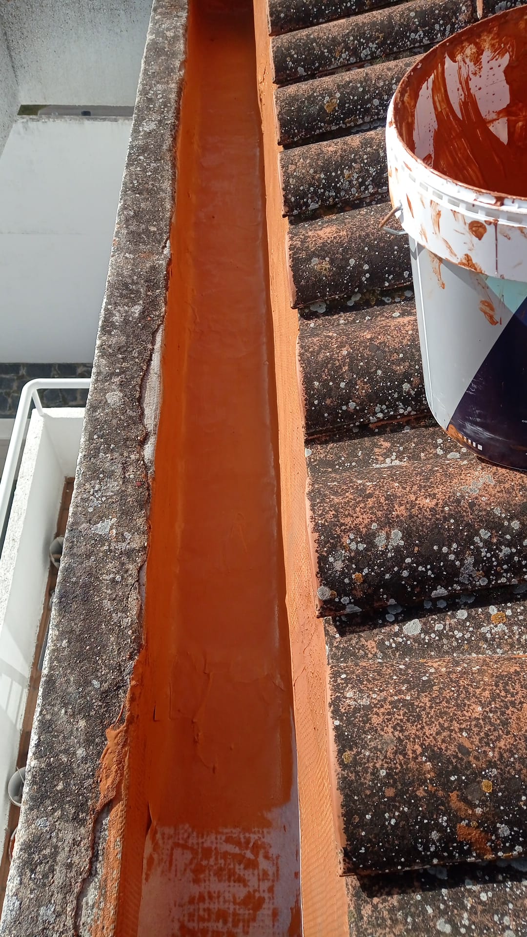 Reformas Jose Antonio Morales 15