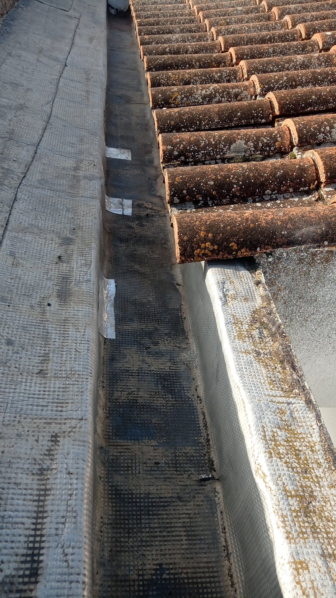 Reformas Jose Antonio Morales 12