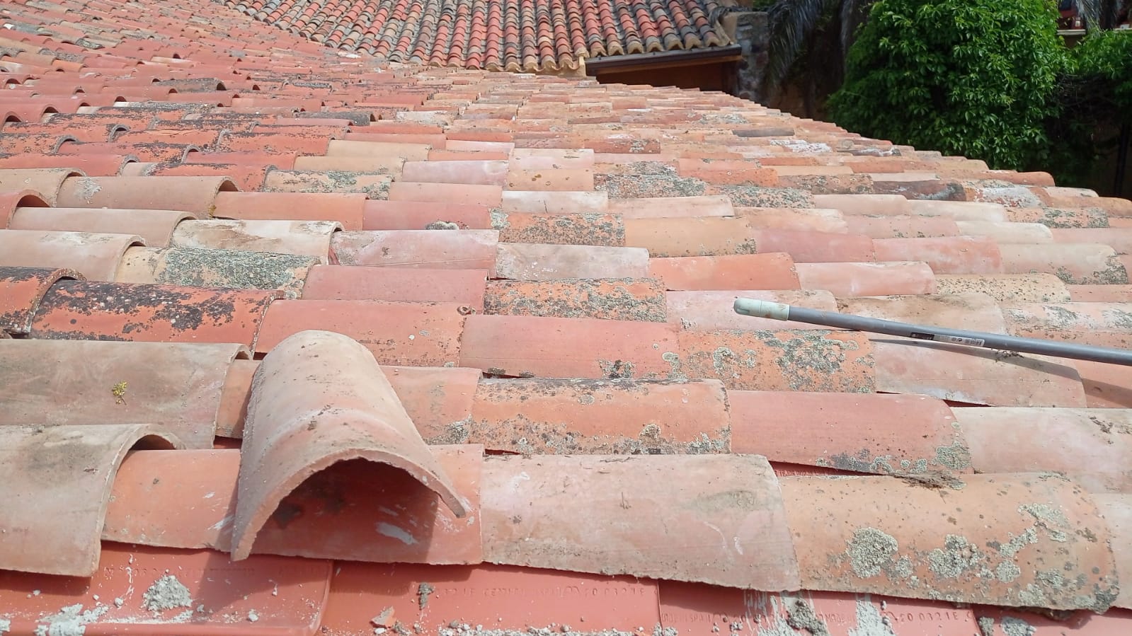 Reformas Jose Antonio Morales 8