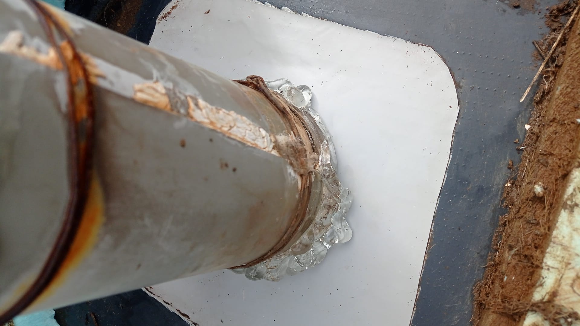 Reformas Jose Antonio Morales 7