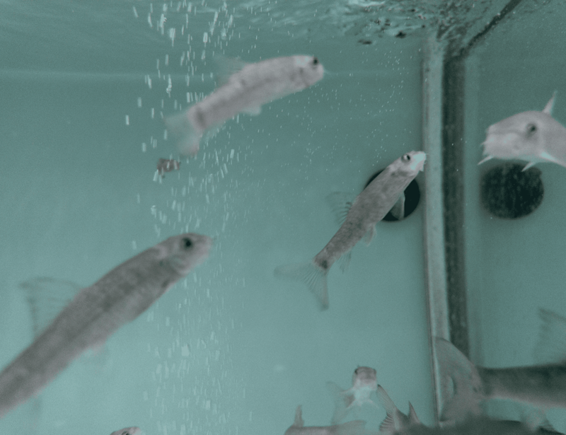 Las Termas: Belleza y Bienestar 15