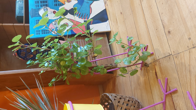 Amalgama Coworking & Concept Store 22