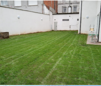 Galería de imágenes